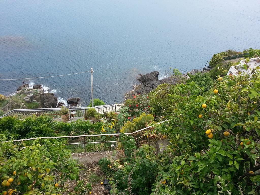 Affittacamere La Branda La Spezia Buitenkant foto